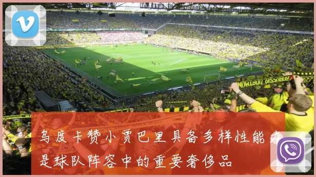 乌度卡赞小贾巴里具备多样性能力是球队阵容中的重要奢侈品